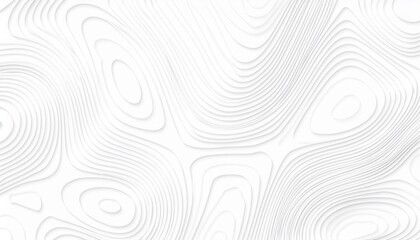 Abstract pattern with swirls Abstract White wave paper curved reliefs background.Panorama view gradient multicolor wave curve lines banner background design. Modern wave line topography  background