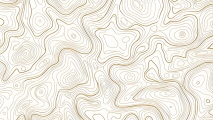 Obraz premium Abstract pattern with swirls Abstract White wave paper curved reliefs background.Panorama view gradient multicolor wave curve lines banner background design. Modern wave line topography background