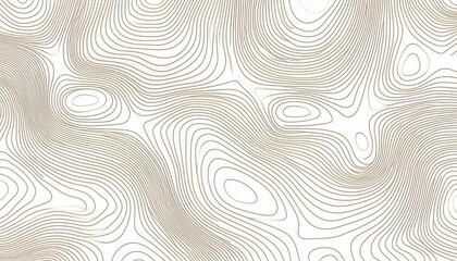 Abstract pattern with swirls Abstract White wave paper curved reliefs background.Panorama view gradient multicolor wave curve lines banner background design. Modern wave line topography  background