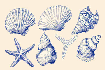 Minimalist hand drawn seashells vector illustration collection. Art for greeting cards, wedding invitations, poster design, postcards, branding, logo design, background