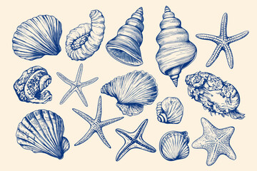 Minimalist hand drawn seashells vector illustration collection. Art for greeting cards, wedding invitations, poster design, postcards, branding, logo design, background