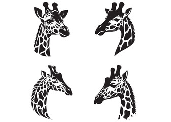 giraffe head silhouette vector design, set of animal head, vector african animal, giraffe logo icon, black silhouette of giraffe head and neck on white background