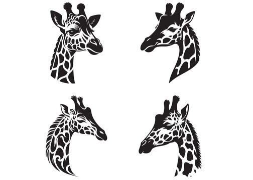 giraffe head silhouette vector design, set of animal head, vector african animal, giraffe logo icon, black silhouette of giraffe head and neck on white background