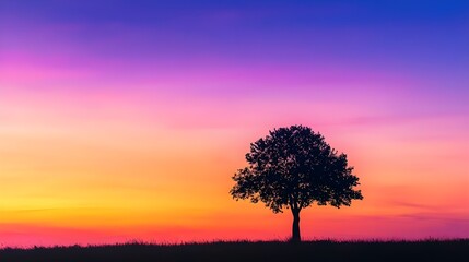 A silhouette of a single tree against a colorful dusk sky, with the fading light creating a gradient of purples, oranges, and blues.