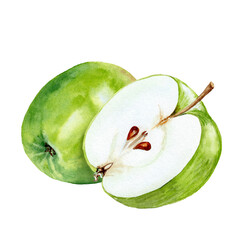 Green apples aquarelle painting