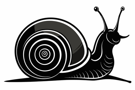 recommend clip art: snail vector silhouette 