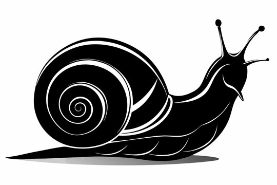 recommend clip art: snail vector silhouette 