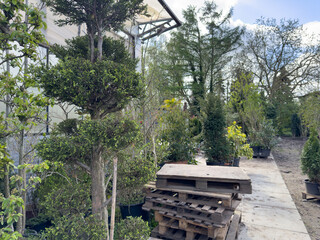 A stack of wooden pallets stand next to potted trees at a nursery