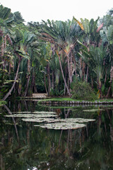 Jardim recanto de paz com a natureza