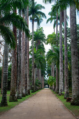 Jardim recanto de paz com a natureza
