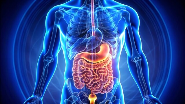 Gastrointestinal motility disorders concept complex color indigo style technical mood in-depth