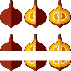 Set of Red Kuri squash. Climbing Onion squash, Potimarron squash.Cucurbita maxima. Vegetables. Flat style. Isolated vector illustration.