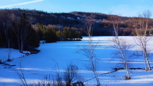 Paysage hivernale ou un drone survol quelques bouleaux en s'approchant lentement d'un lac gel&eacute;  parsem&eacute; de pistes d'animaux sauvages & entour&eacute; de for&ecirc;ts. ( Lac Gallagher. St-Jules-Cascap&eacute;dia, Quebec )