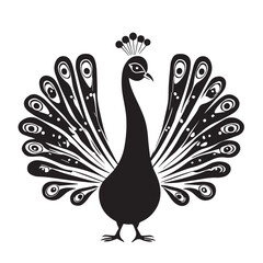 Fototapeta premium Peacock in cartoon, doodle style . Image for t-shirt, web, mobile apps and ui. Isolated 2d vector illustration in logo, icon, sketch style, Eps 10, black and white. AI Generative