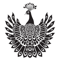 Fototapeta premium Peacock in cartoon, doodle style . Image for t-shirt, web, mobile apps and ui. Isolated 2d vector illustration in logo, icon, sketch style, Eps 10, black and white. AI Generative