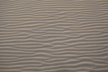 sand background