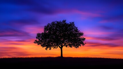 Obraz premium A silhouette of a single tree against a colorful dusk sky, with the fading light creating a gradient of purples, oranges, and blues.