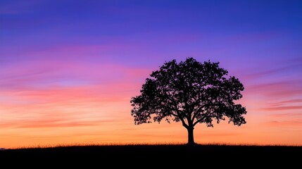 Obraz premium A silhouette of a single tree against a colorful dusk sky, with the fading light creating a gradient of purples, oranges, and blues.