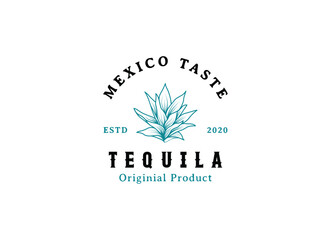 Tequila drinks Mexico logo design. Vector illustration of Mexican Blue Agave Plant for Tequila Drink Vintage Label Logo Design