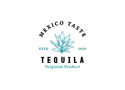 Tequila drinks Mexico logo design. Vector illustration of Mexican Blue Agave Plant for Tequila Drink Vintage Label Logo Design