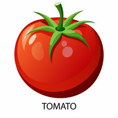 Tomato in cartoon style on a white background. Vector illustration.