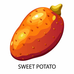 Sweet potato in cartoon style on a white background. Vector illustration.