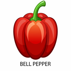 Bell pepper in cartoon style on a white background. Vector illustration.