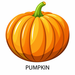 Pumpkin in cartoon style on a white background. Vector illustration.