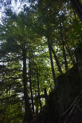 Mont Foster 5 Septembre 2024