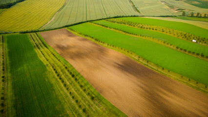 Rural drone aerial view landscape of farm fields and rolling hills in South Moravia, Czech Republic