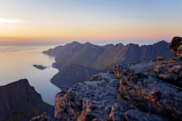 Children and adults, family with dog, hiking Grytetippen trail in Senja, Lofoten on a sunny summer day
