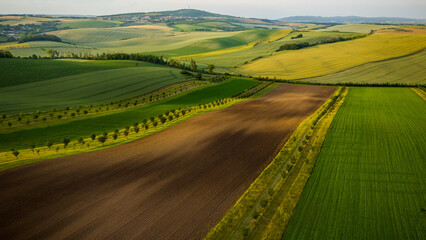 Fototapeta premium Rural drone aerial view landscape of farm fields and rolling hills in South Moravia, Czech Republic