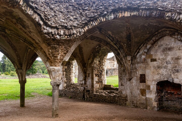 Obraz premium The Ruins of Waverley Abbey