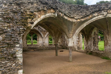 Obraz premium The Ruins of Waverley Abbey