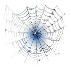Obraz premium A delicate spider web adorned with dewdrops, showcasing intricate patterns and natural beauty.