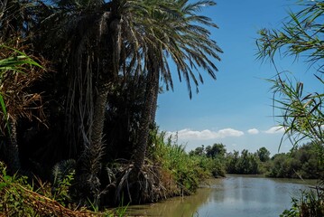 Obraz premium En Afek National Park, Israel