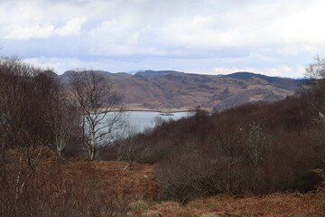 scottish nature