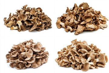 Obraz premium A pile of fresh maitake mushrooms on a white background