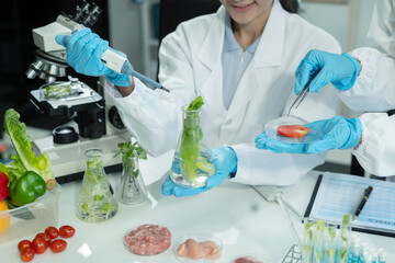 Molecule Samples in Modern Food Science Laboratory, Control experts inspect the concentration of...