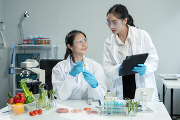 Molecule Samples in Modern Food Science Laboratory, Control experts inspect the concentration of chemical residues. hazards, standard, find prohibited substances, contaminate.