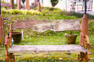 wooden chair in garden