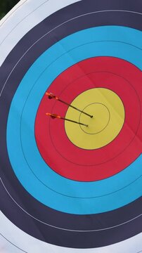 Vertical Six archery sport arrows hit new target center bulls eye on olympic target