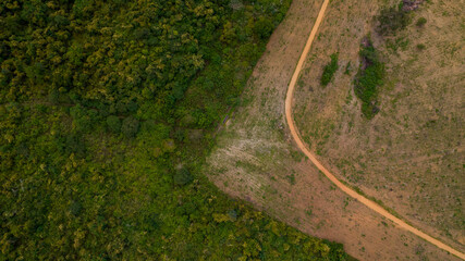 Fototapeta premium Winding road in the forest countryside unpaved road 