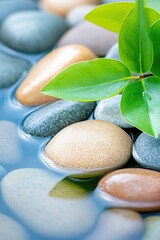 Nature's serenity: smooth stones and vibrant leaves by tranquil waters