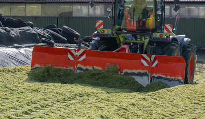 Traktor auf einer Maissilage während der Maisernte