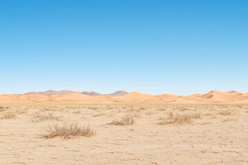 Fototapeta premium Arid Expanse: Golden Sand Dunes Under a Vast Blue Sky