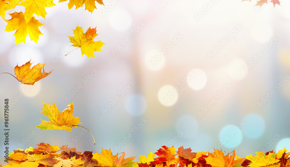 Poster beautiful light airy autumn background with round bokeh and falling orange dry leaves on a blurred p