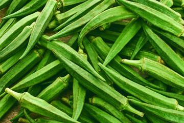 Fresh Okra Pods on wooden background