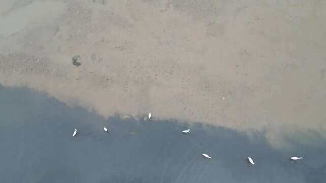 a Squelchy mud, rial view of amazing natural shapes