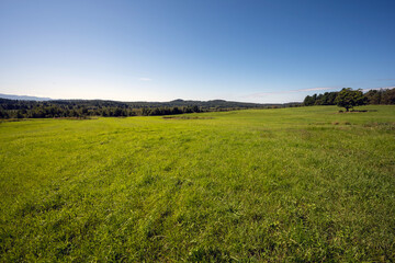 Farm fields in late summer in Vermont